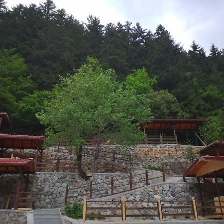 Turkuaz Apart Uzungol Exterior photo