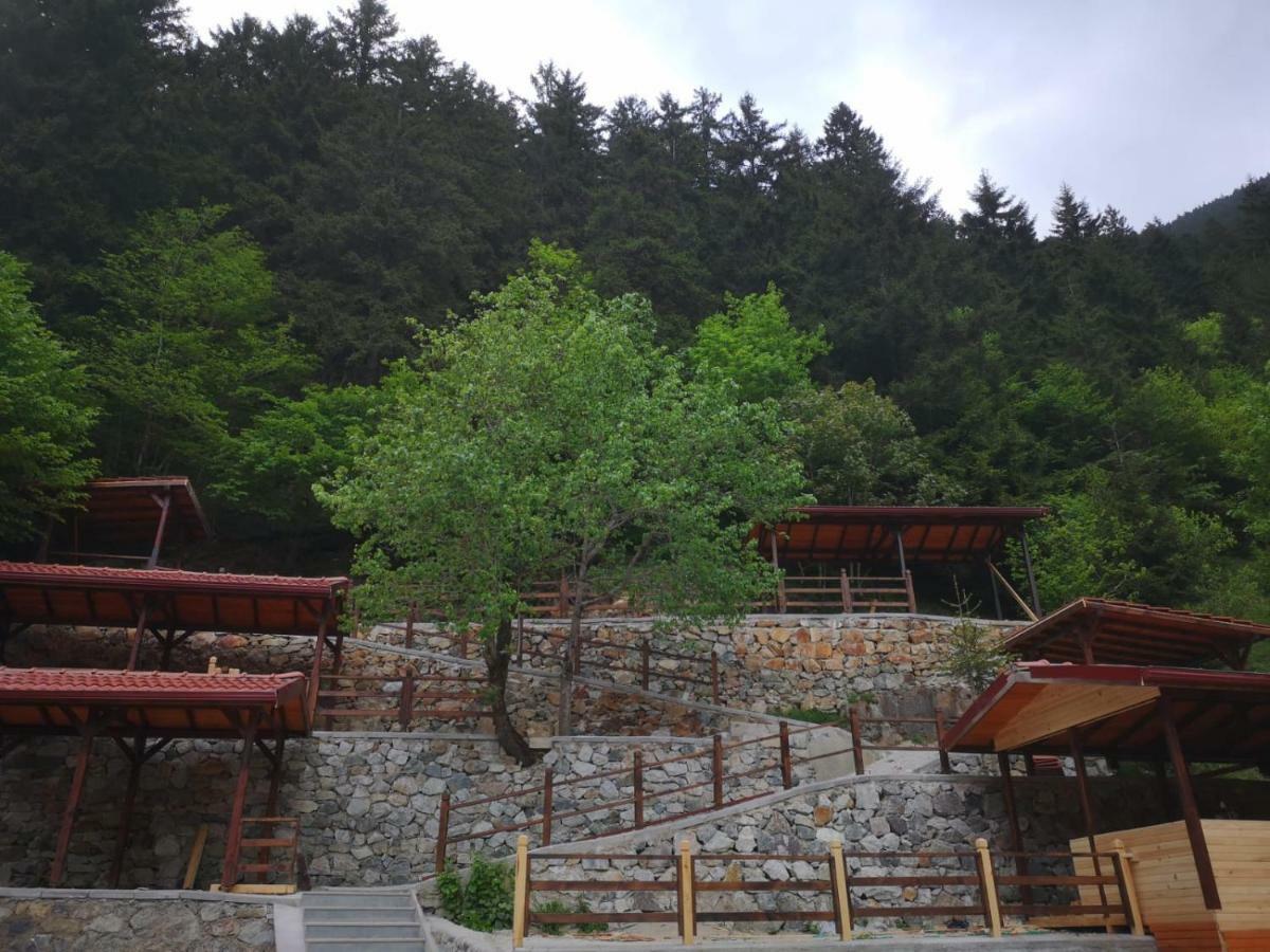 Turkuaz Apart Uzungol Exterior photo